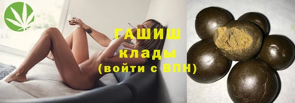индика Балахна