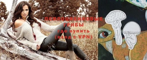 СК Слюдянка