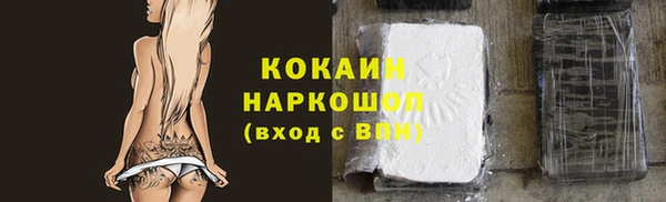 индика Балахна