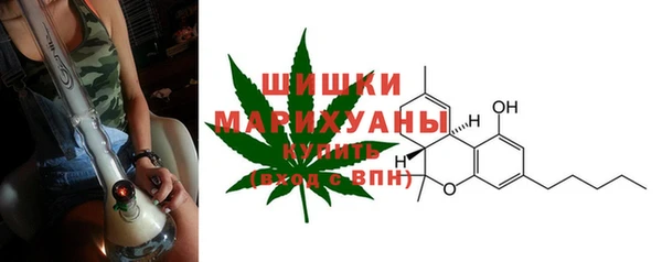 индика Балахна
