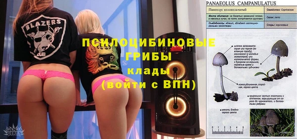 индика Балахна
