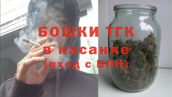 индика Балахна