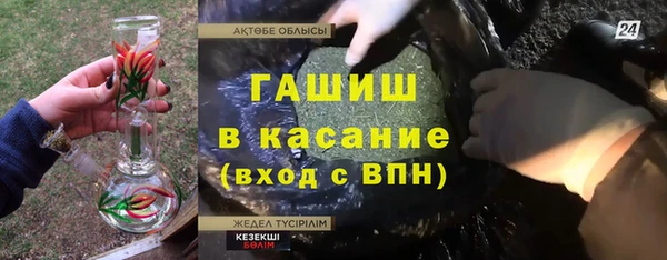 индика Балахна